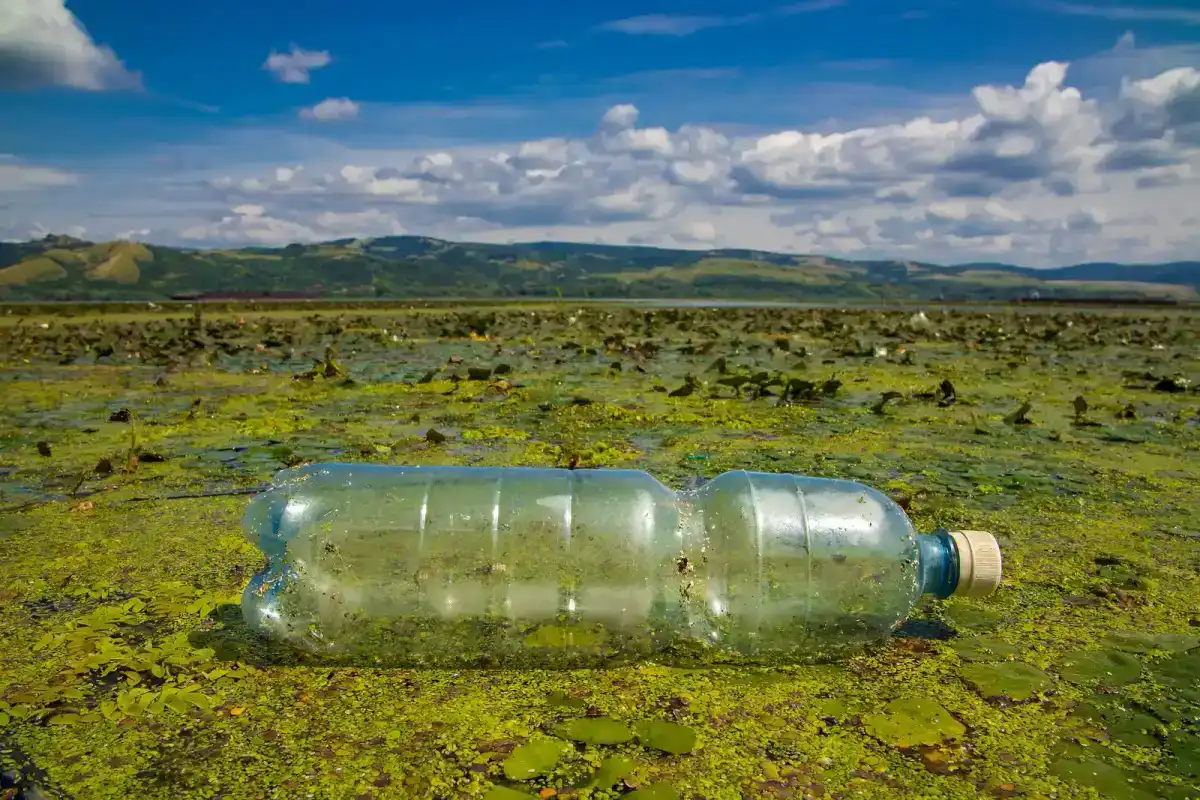 Getränkeflasche im Wasser